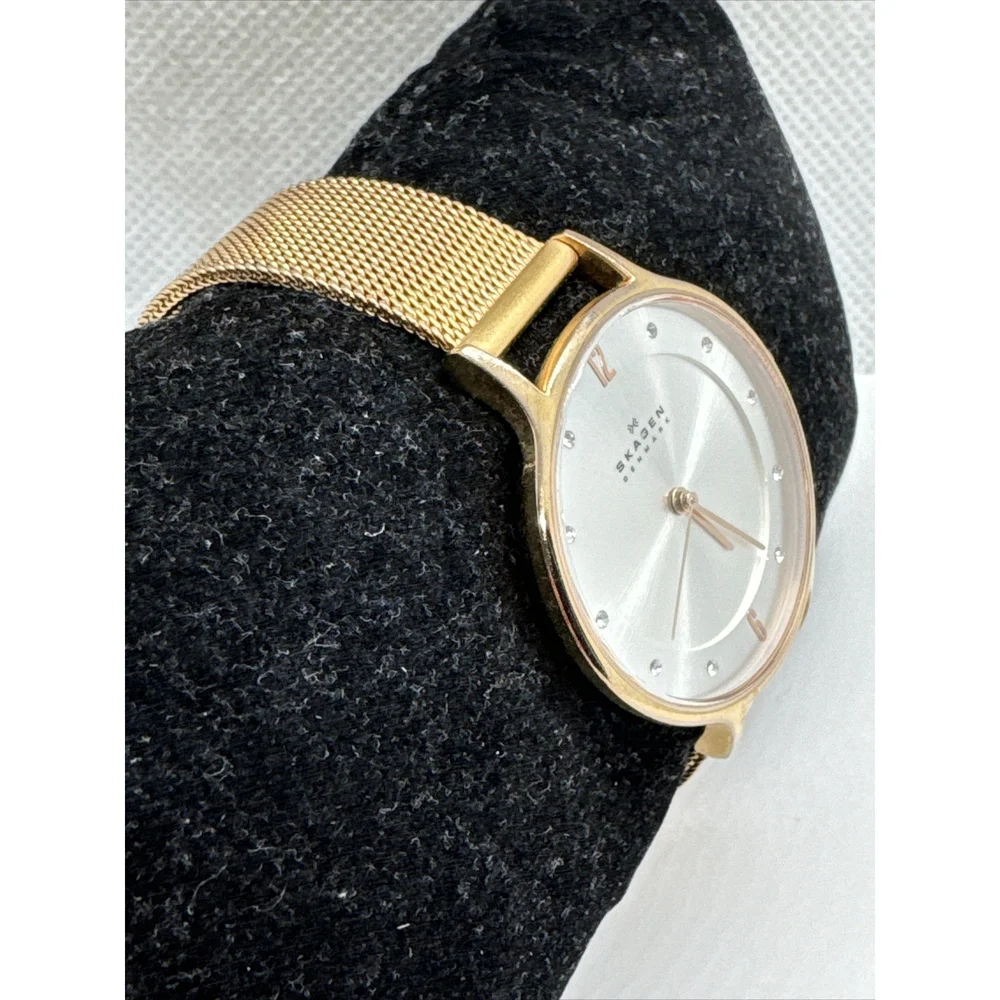 Skagen SKW2151 Womens Stainless Steel Mesh Analog Dial Quartz Wrist Watch AEA290